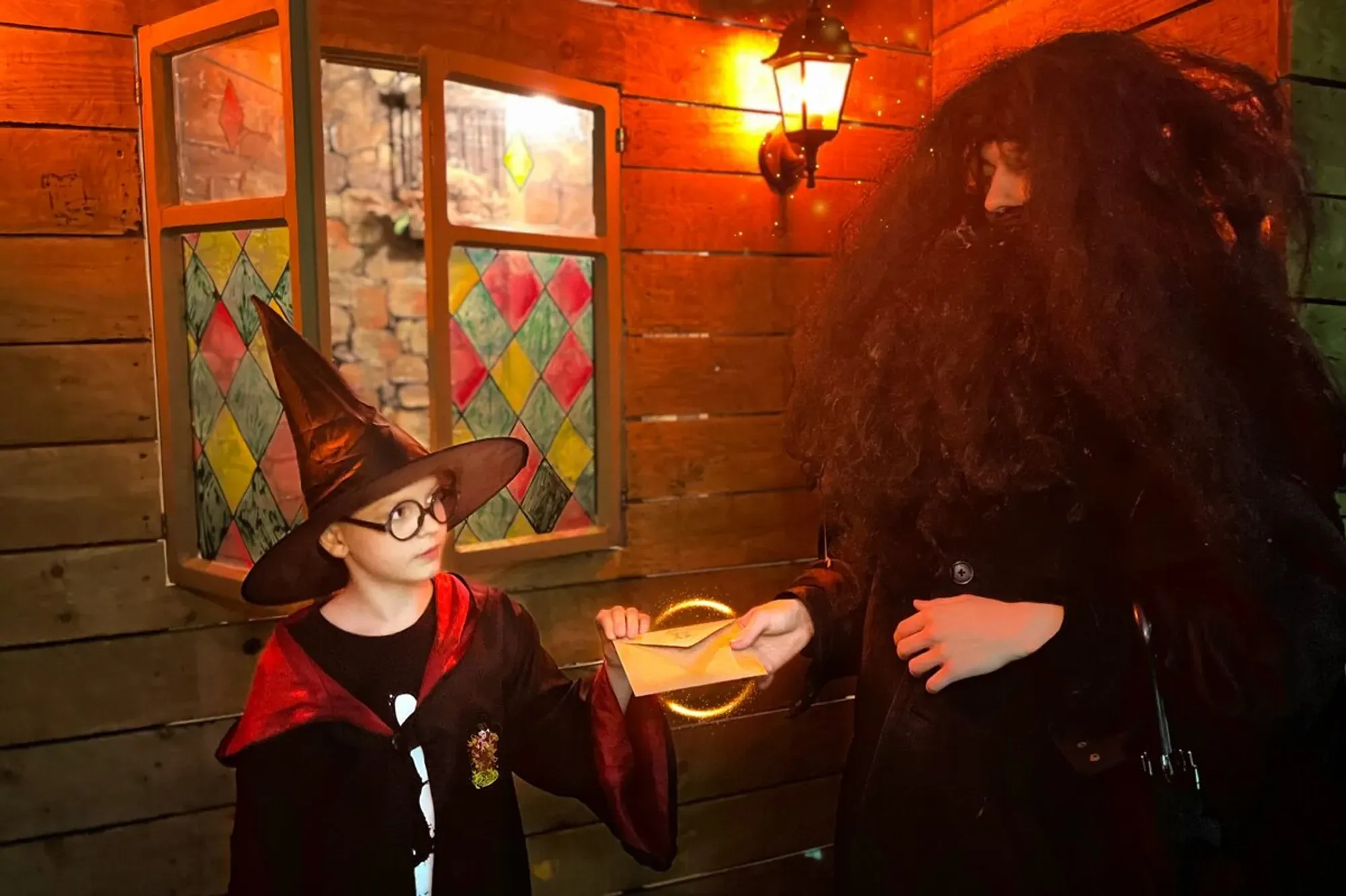 Harry and the Order of Wizards