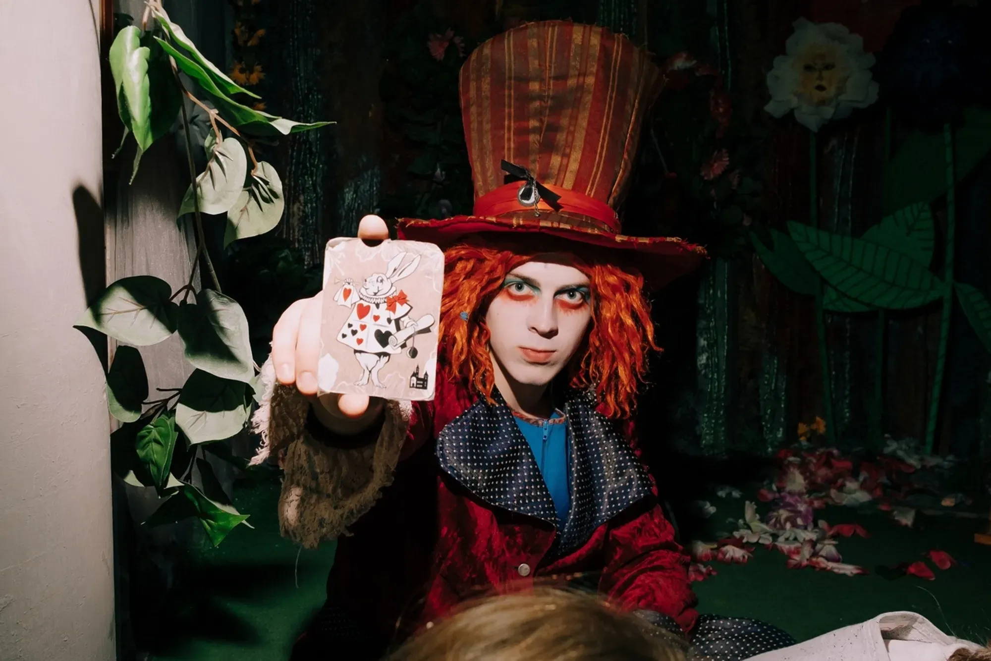 Dream of Alice