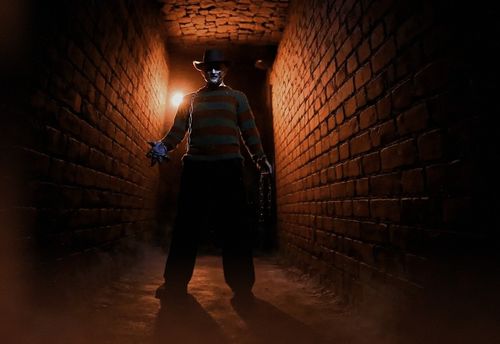 Freddy's House