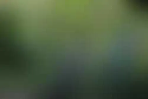 Загадки фараона