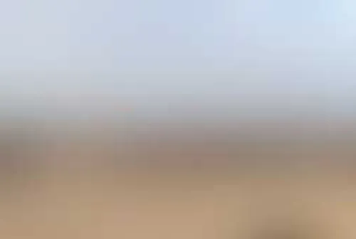 Арабская ночь