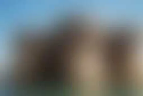 Форрест Боярд