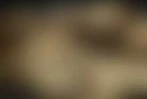 Научный институт