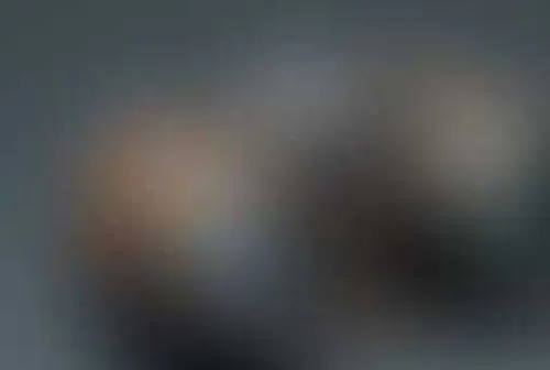 Спецагенты