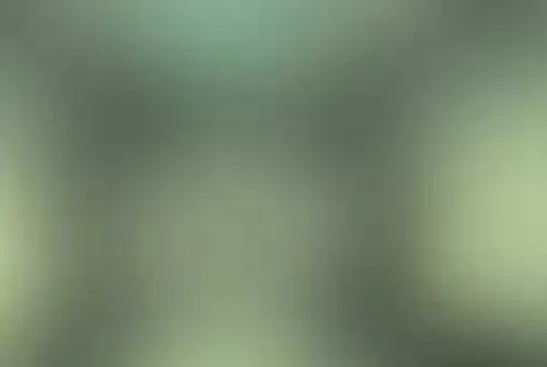 Психбольница 2
