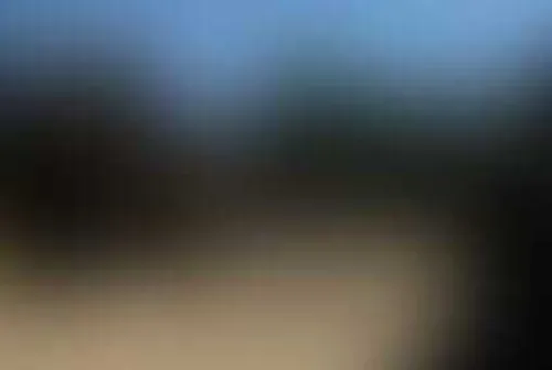 Дикий Запад