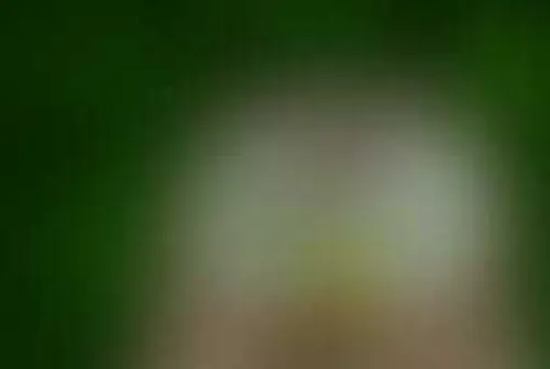 Кубок школы магии