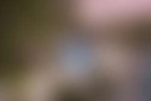 Джунгли