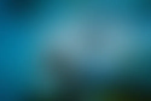 Тело напрокат