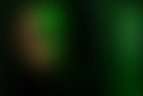 The Matrix