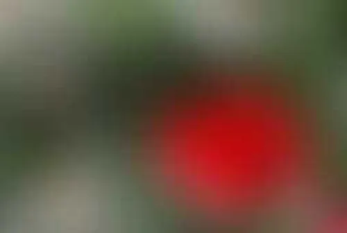 Гринч, верни Новый год