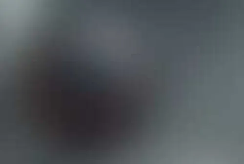 Химера