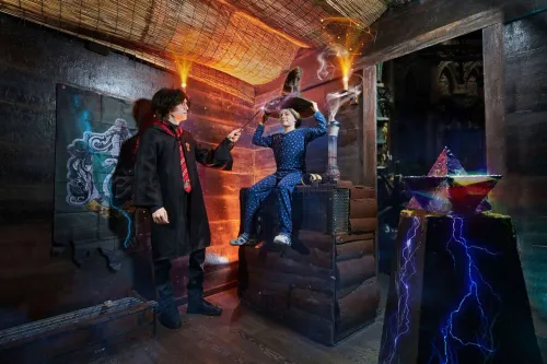 Harry and the Philosopher's Stone